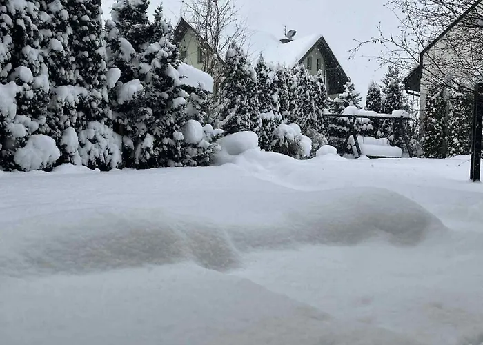 U Majki ,,henrykowka